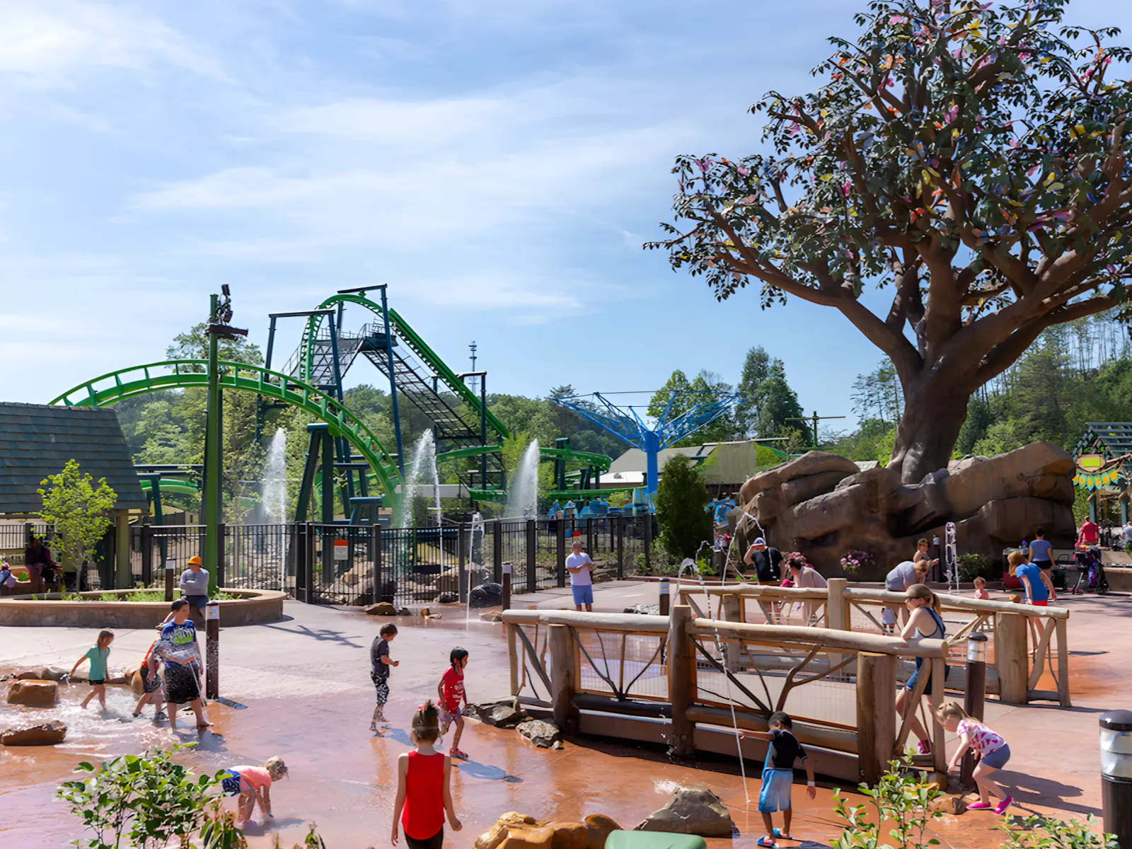 Dollywood tree with children playing at the splash park and roller coaster in the background