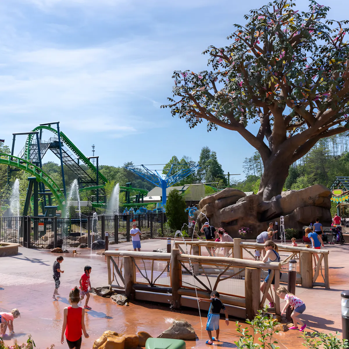 Children's at a splash park in Dollywood with wildwood tree structure